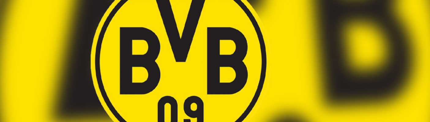 BVB Logo | Bildquelle: Montage: KM