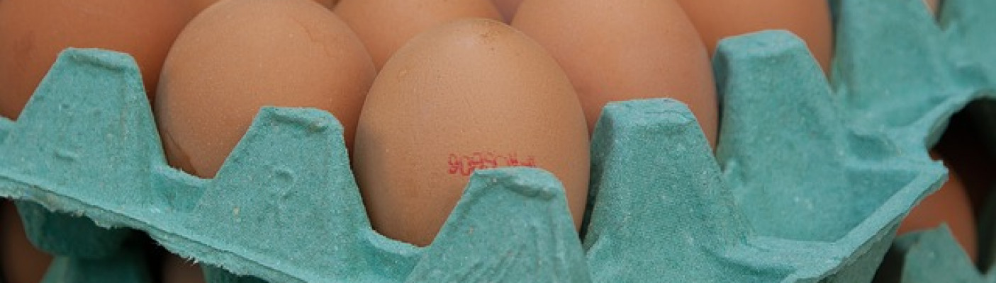 Eier in Kartons | Bildquelle: Pixabay.de