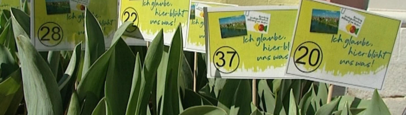 Tulpen-Lotto | Bildquelle: RTF.1