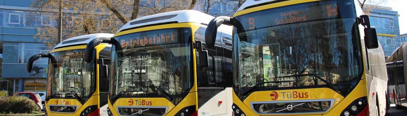 Stadtwerke Hybridbusse | Bildquelle: Pressebild