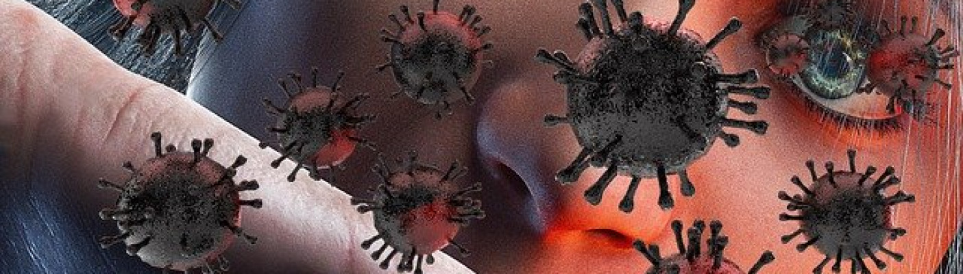 Corona-Virus | Bildquelle: Bild von TPHeinz auf Pixabay 