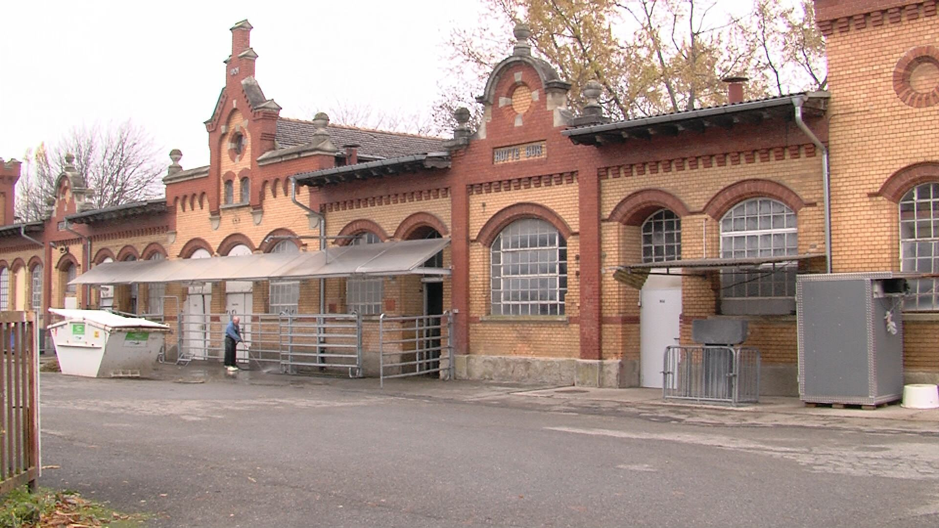 Regionales Schlachten Wie geht es weiter mit dem Schlachthof? RTF.1