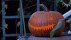 Halloween Bilanz  | Bildquelle: RTF1 Halloween Bilanz  | Bildquelle: RTF1