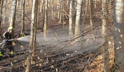 Waldbrand Bad Urach - Einsatzkraft beim Löschen
