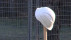 Helm auf Holzstab | Bildquelle: RTF.1