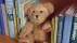 Teddybär zwischen Büchern | Bildquelle: RTF.1
