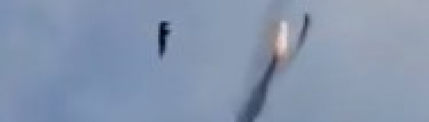 Fakt oder Fake-Video? Ukrainischer Kampfjet schießt russischen Kampfjet schießt russischen Kampfjet ab | Bildquelle: Ukrainische Streitkräfte Fakt oder Fake-Video? Ukrainischer Kampfjet schießt russischen Kampfjet schießt russischen Kampfjet ab | Bildquelle: Ukrainische Streitkräfte