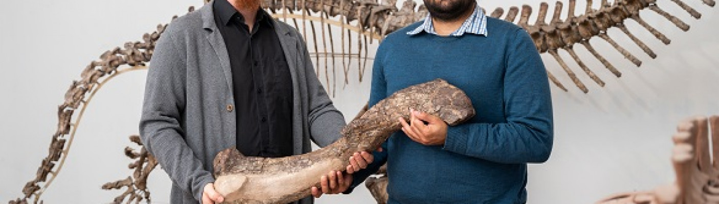 Ingmar Werneburg (links) und Omar Rafael Regalado Fernandez (rechts) halten einen Oberschenkel des Tuebingosaurus maierfritzorum | Bildquelle: Valentin Marquardt/Universität Tübingen