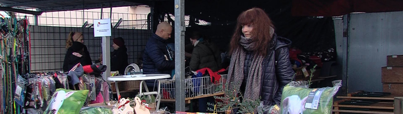 Weihnachtsmarkt im Reutlinger Tierheim | Bildquelle: RTF.1