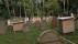 Jüdischer Friedhof in Wankheim wird gefördert | Bildquelle: RTF.1
