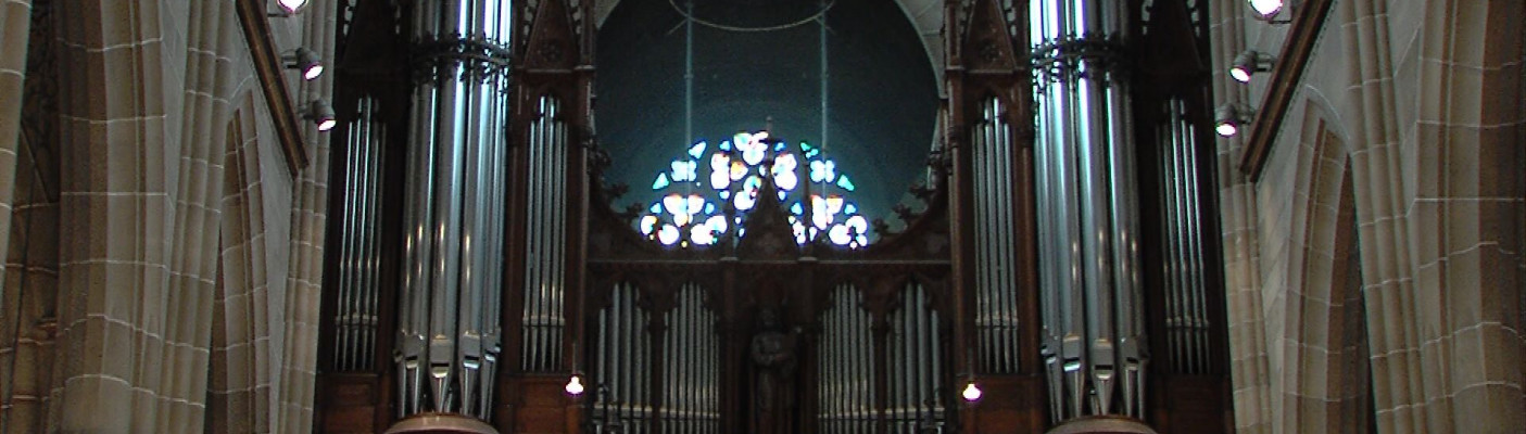 Orgel in der Marienkirche | Bildquelle: RTF.1